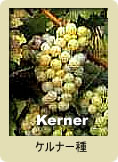 Kerner