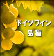 ドイツワイン品種